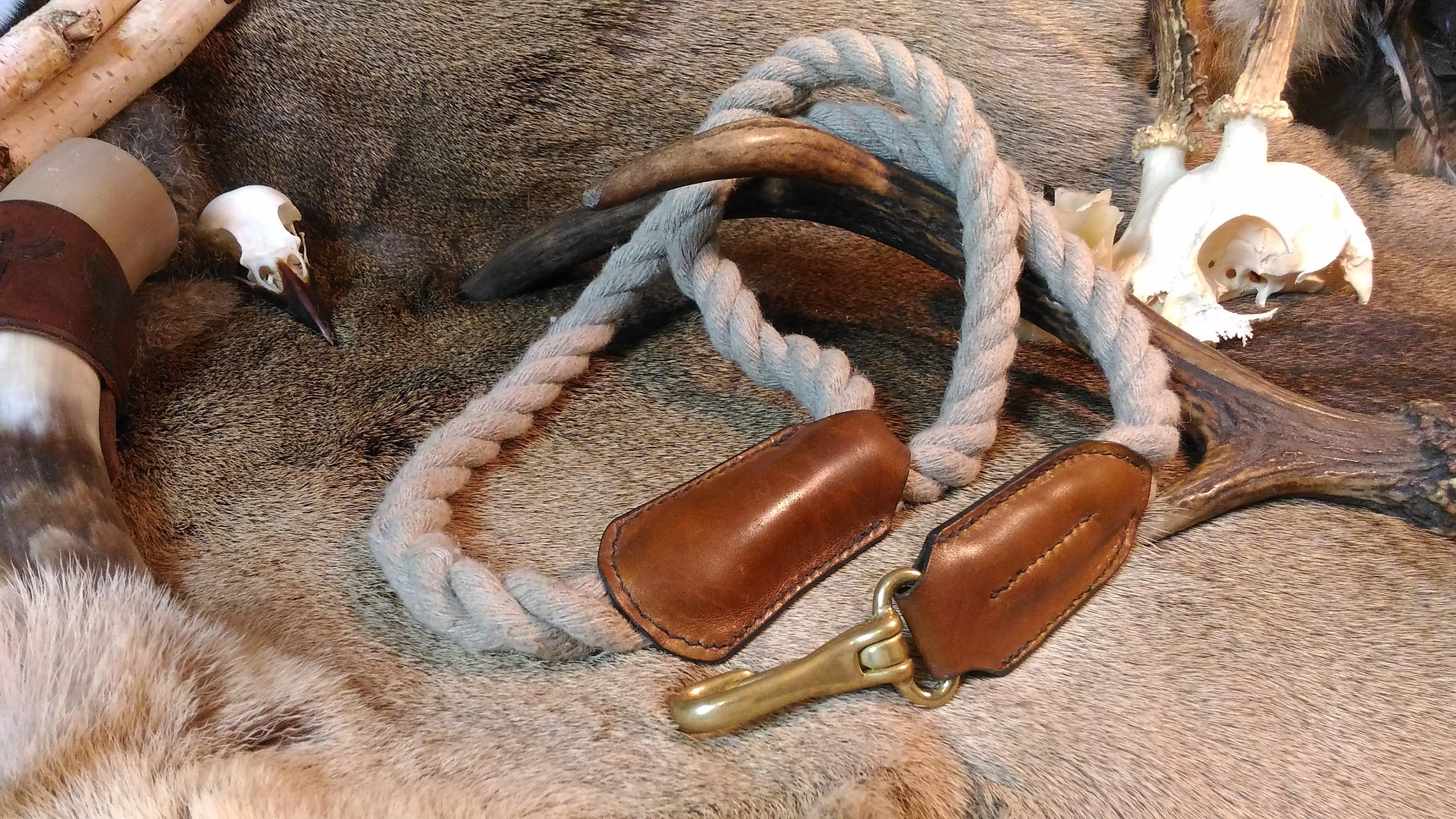 Laisse/Longe en Corde