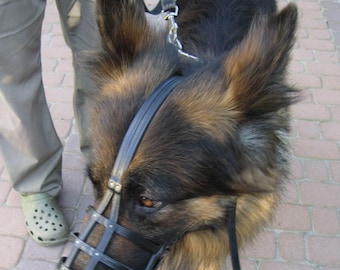 Bespoke Premium Leather Muzzle