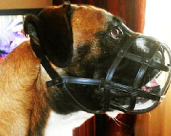 Boxer Leather Muzzle