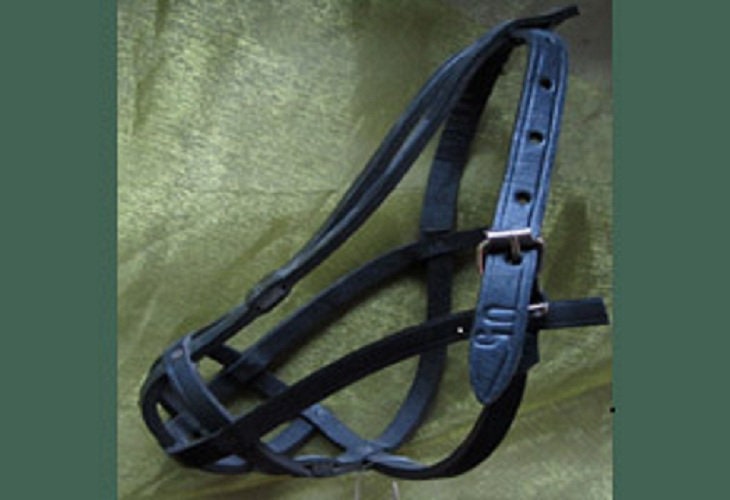muzzle for pekingese