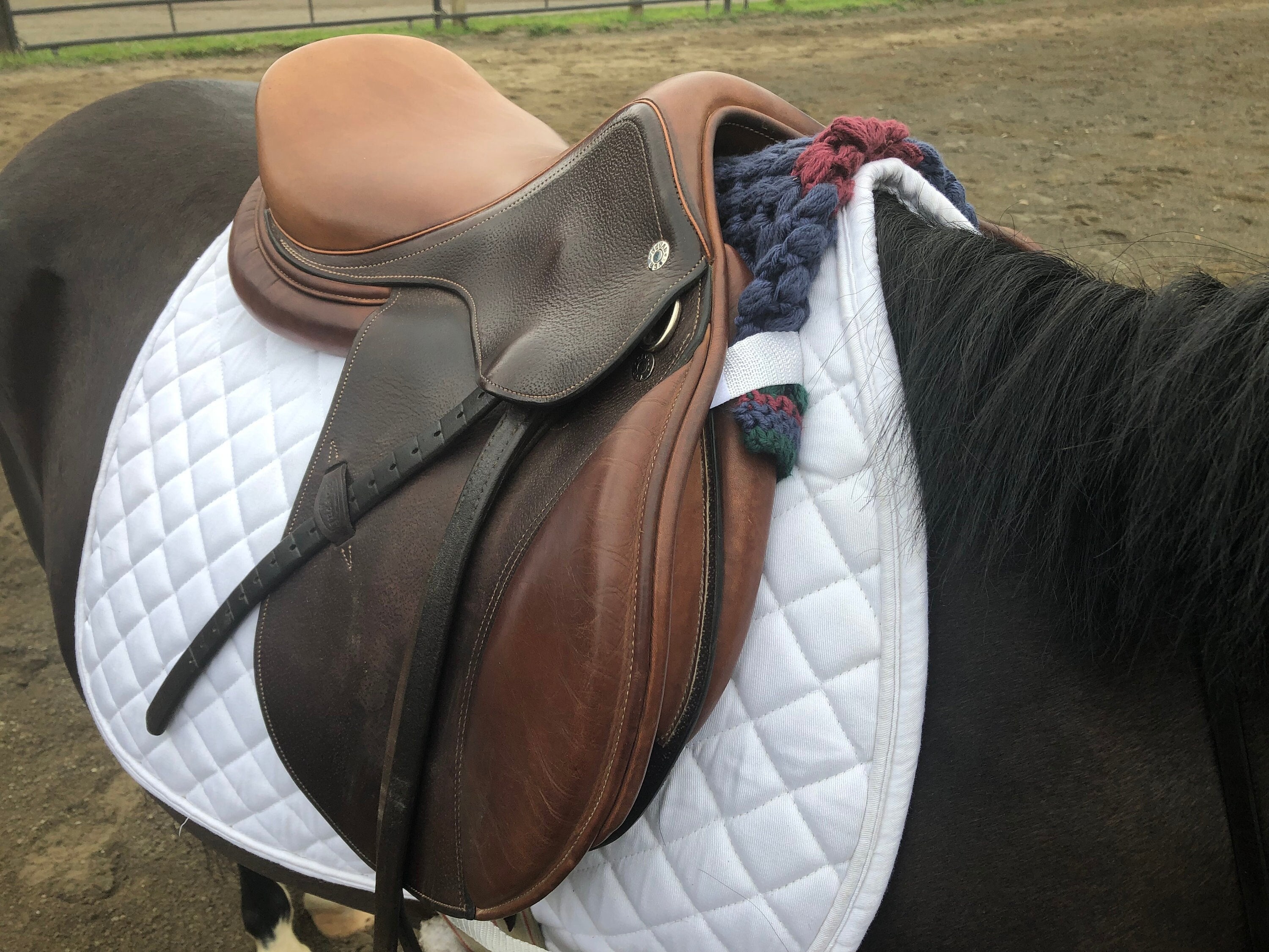 Pommel Pad, Wither Pad, Saddle Pad, Riding Pad, Custom Pommel Pad Etsy