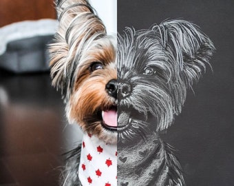 Custom pet portraits from your photos