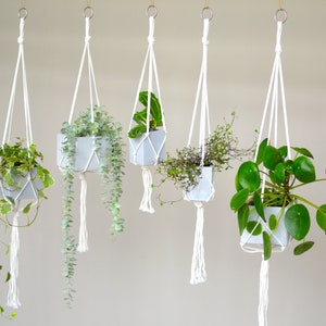 Puede incluir: Cinco macetas colgantes con varias plantas verdes. Cada planta está en una maceta geométrica gris suspendida por un colgador de macramé blanco. Las plantas incluyen variedades colgantes y frondosas, creando una exhibición natural y decorativa. Los colgadores están sujetos a anillos metálicos.