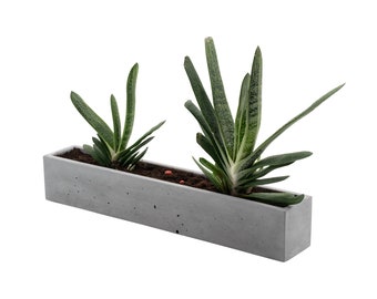 blumenksten fr straenlaternen Rechteckiger Blumenkasten mit Rdern aus Fiberglas  Potflex