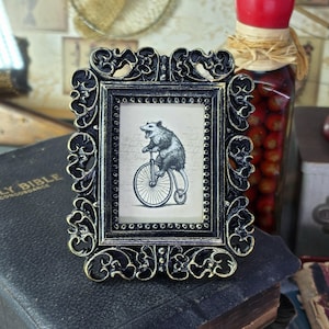 May include: Ornate black and gold picture frame with a vintage illustration of an opossum riding a bicycle. The frame has a detailed, scrolling design and is set against a dark background.