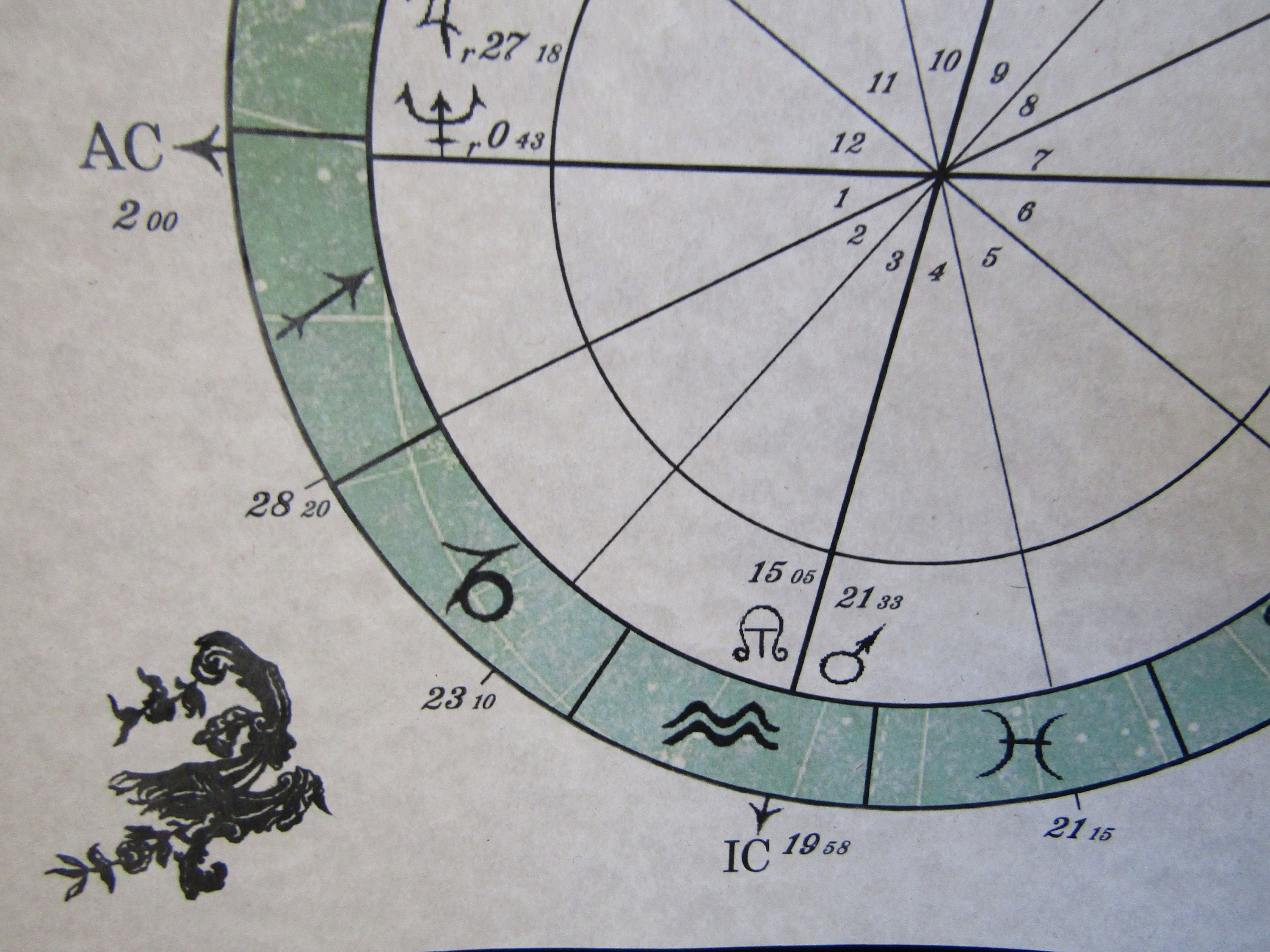Custom Astrological Charts - Etsy