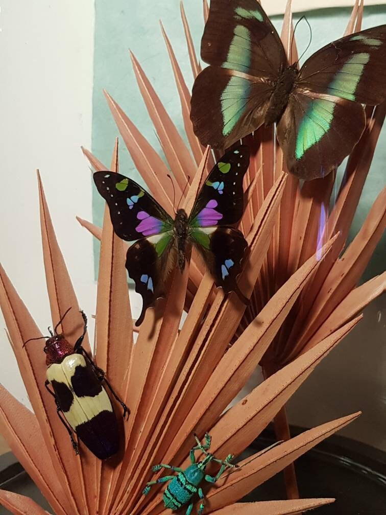 Cloche Jungle Pourpre Weiskei