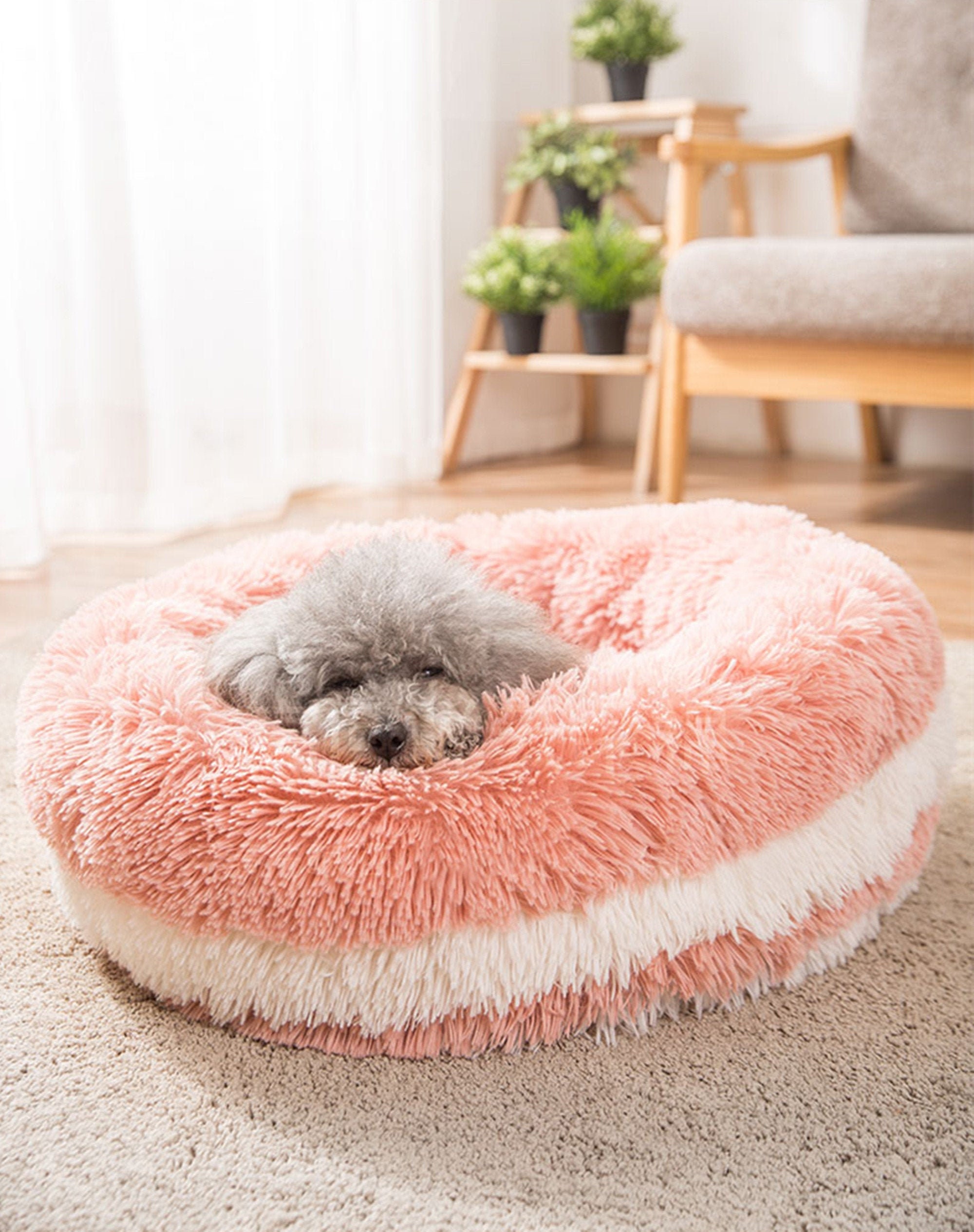 Fluffy Pet Bed for Dogs / Cats Macaron Pink White Round Donut Etsy