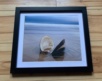 Benone Beach Shell - 12 x 10 Framed Print