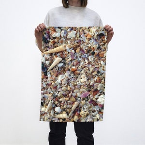 Shell Tea Towel
