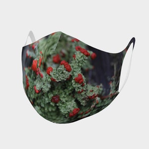 Lichen Mask