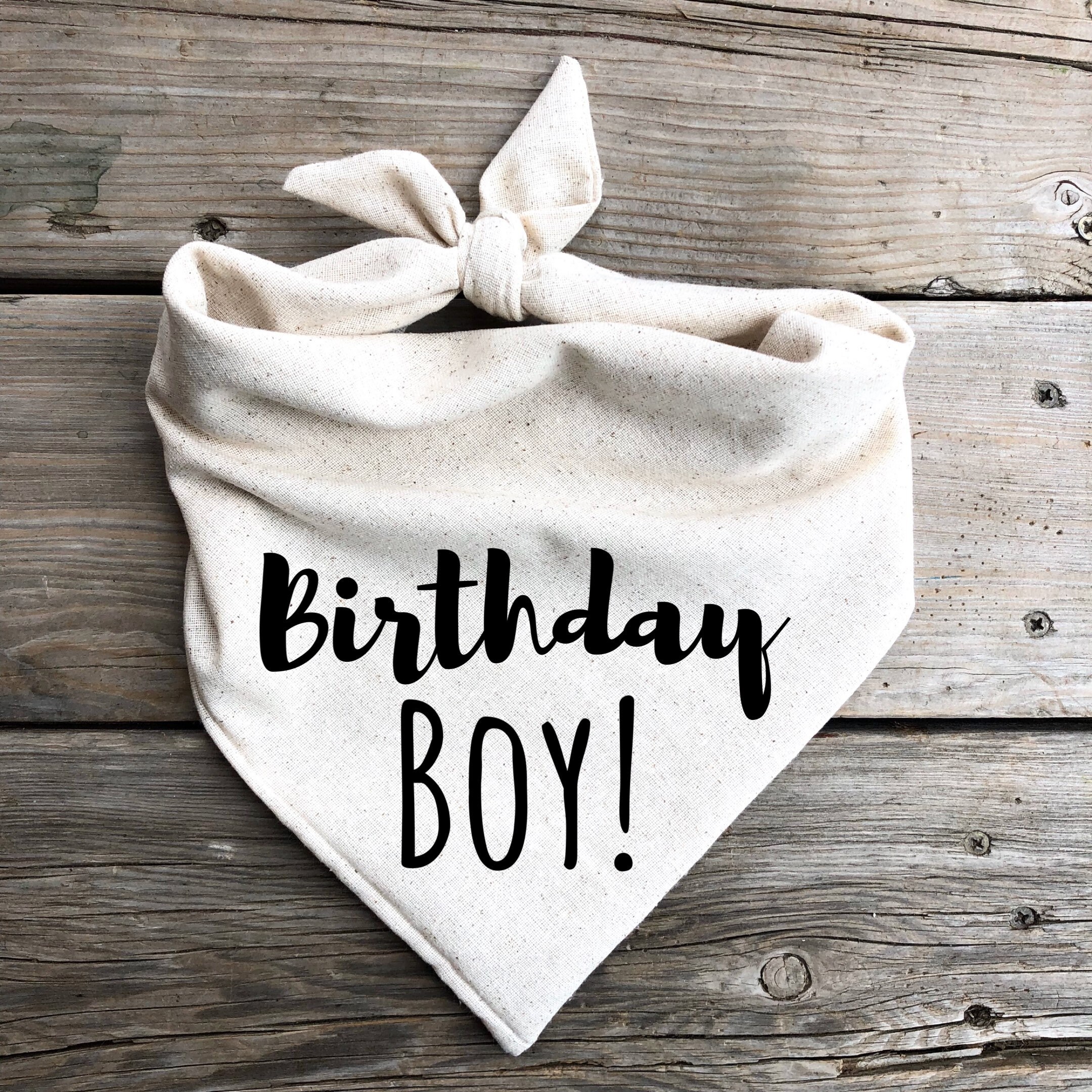 Dog bandana Birthday Boy Its my Birthday first 1st birthday party pup…
