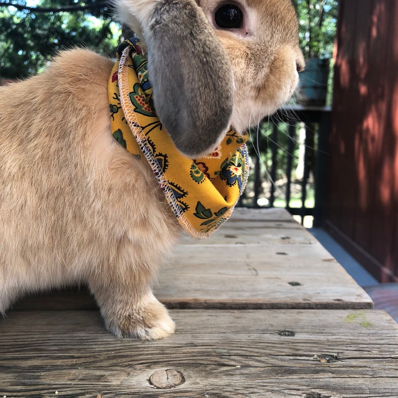 Bunny rabbit bandana pattern PDF sewing pattern tutorial Etsy