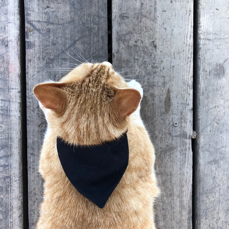 Cat bandana pattern PDF sewing pattern tutorial DIY Bandana Etsy