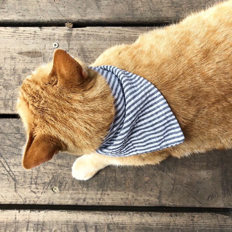 Cat bandana pattern PDF sewing pattern tutorial DIY Bandana Etsy