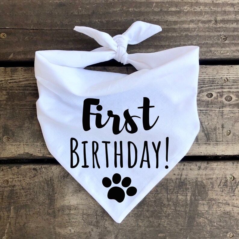First Birthday Dog bandana Birthday Its my Birthday 1st Etsy