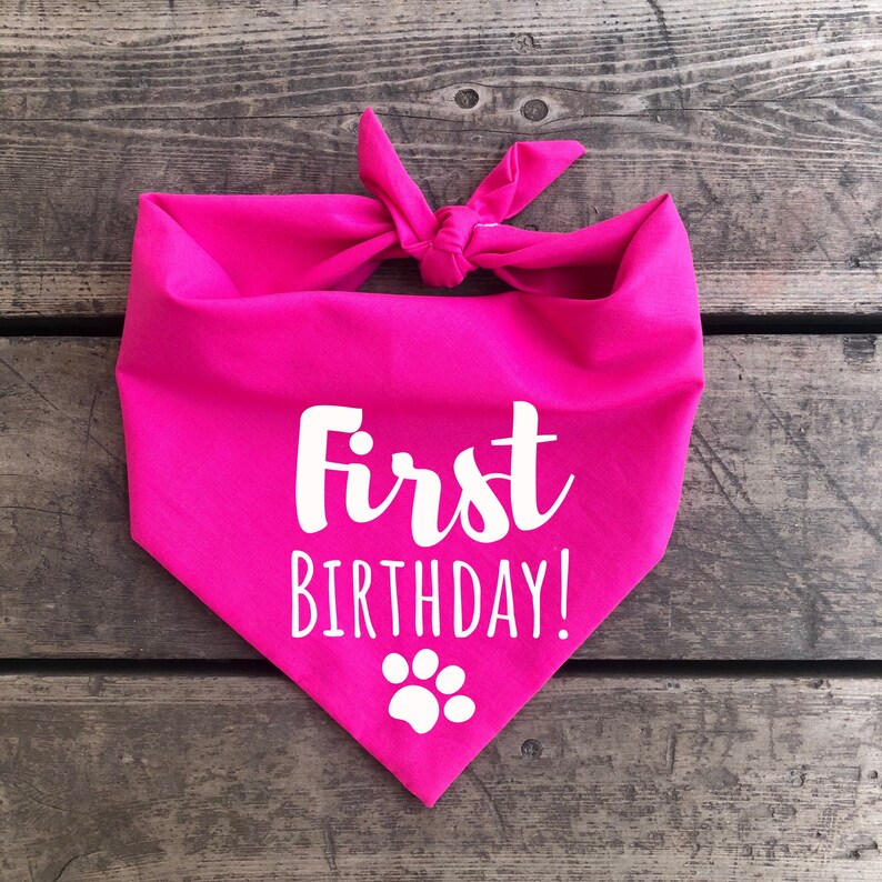 First Birthday Dog Bandana Birthday Its My Birthday 1st Etsy