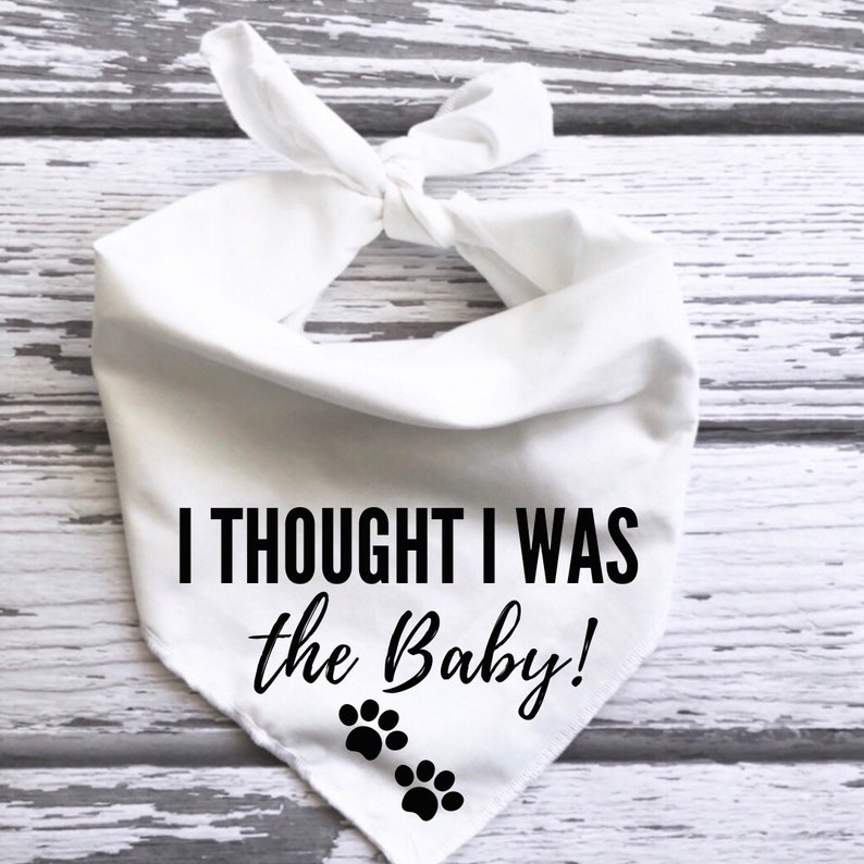 Dog Bandana I thought I was the baby pregnancy pregnancy Etsy