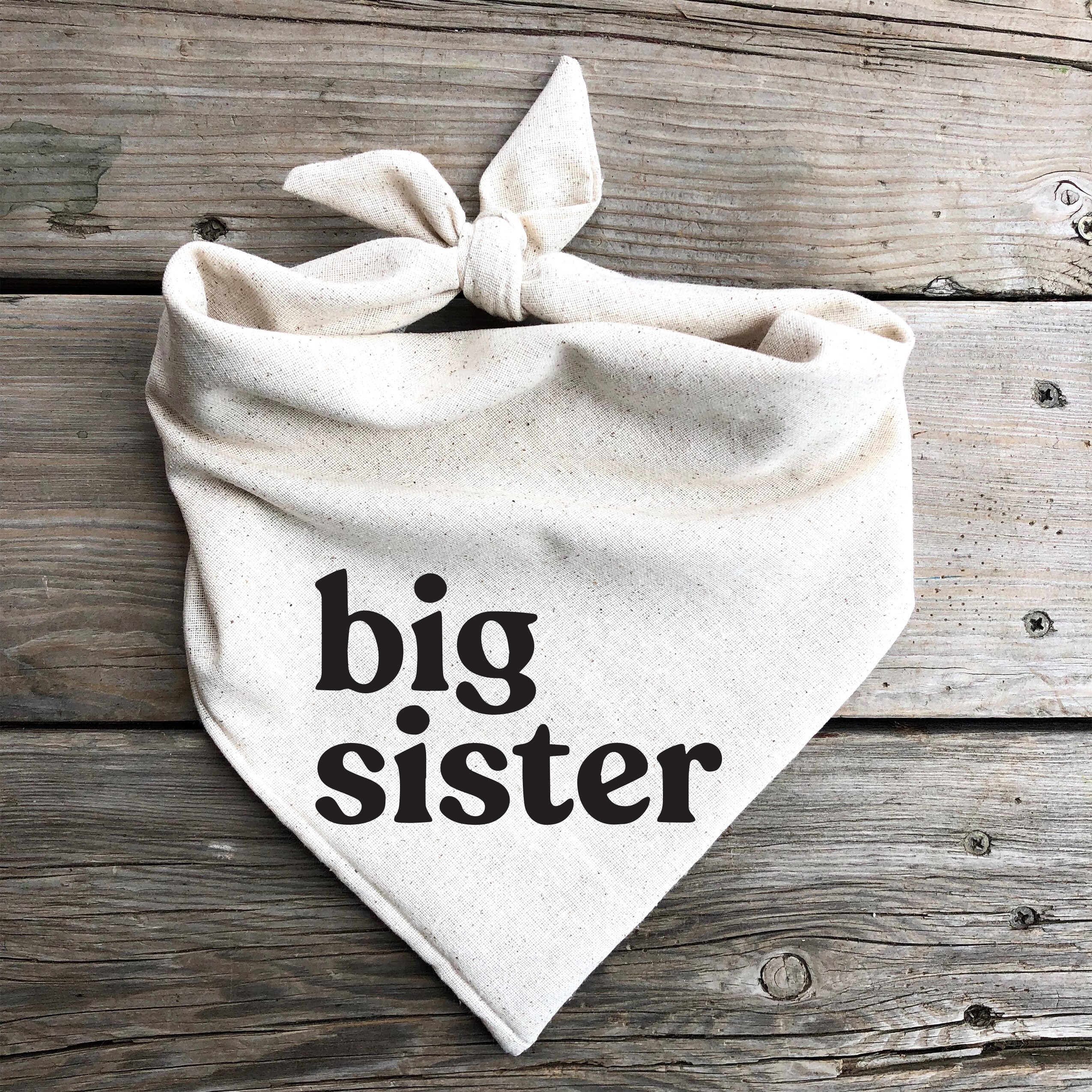 Dog bandana Big Sister pregnancy announcement baby announcement photo…