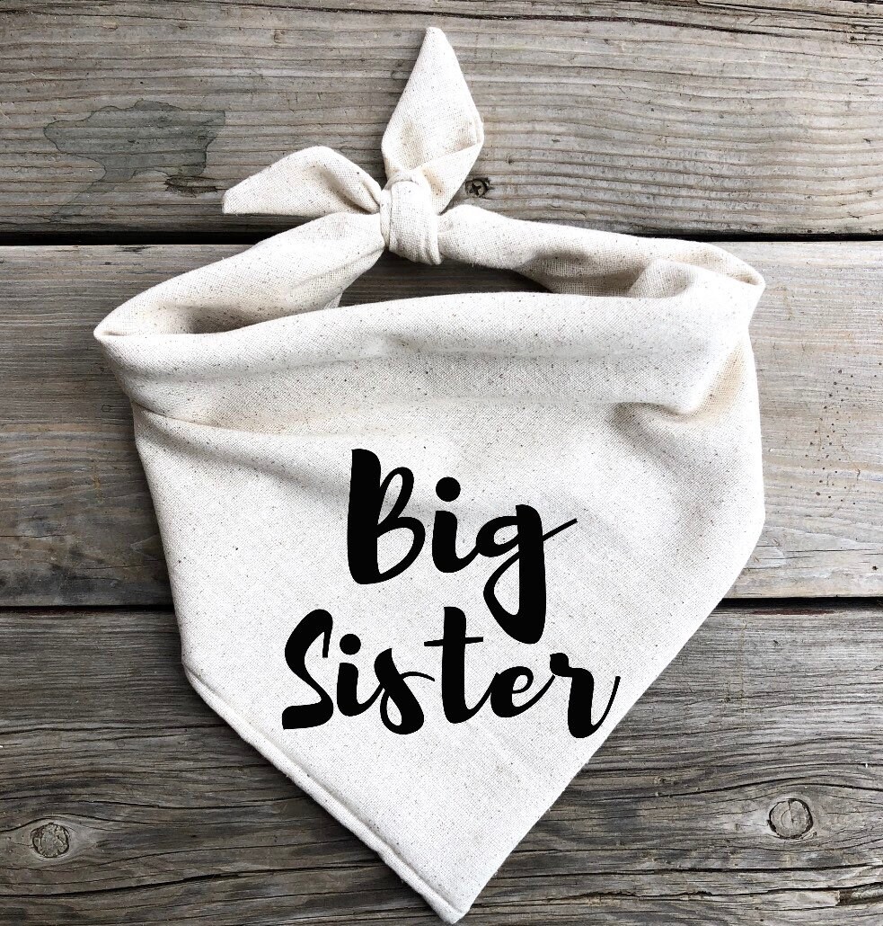 Dog bandana Big Sister pregnancy announcement baby announcement photo…