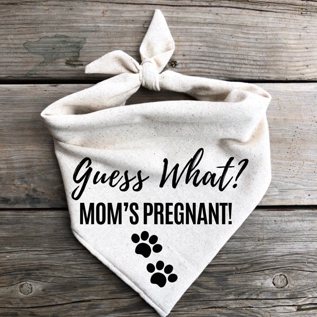Guess what? Mom's Pregnant! Dog pregnancy announcement dog bandan…