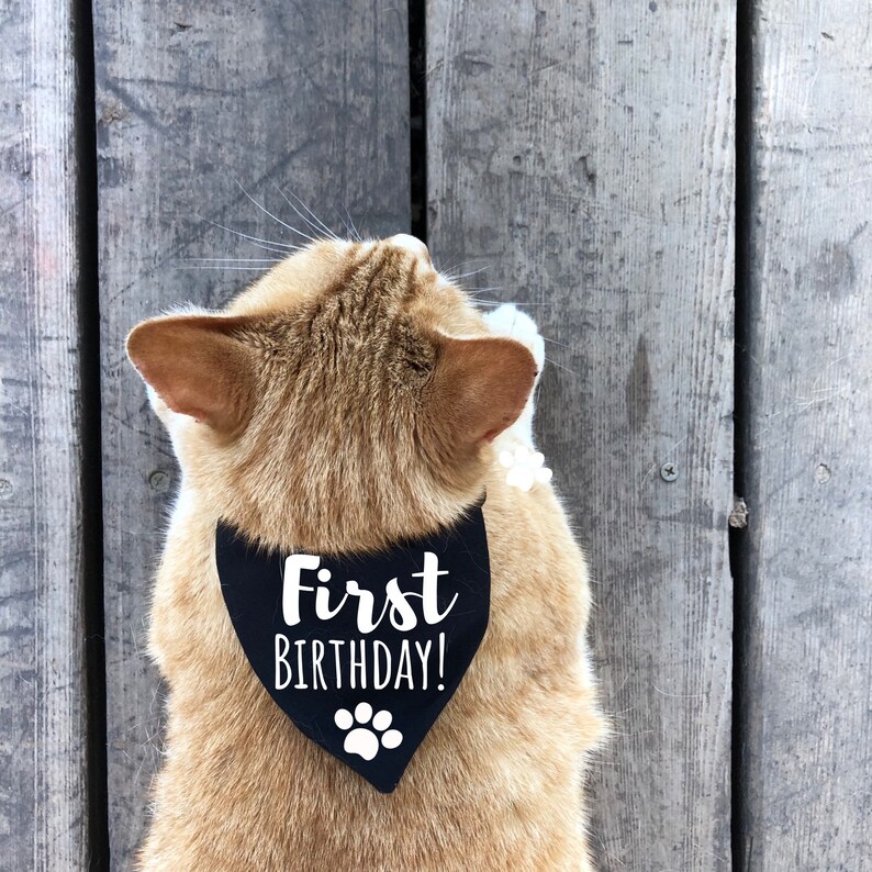 First Birthday Dog bandana Birthday Its my Birthday 1st Etsy