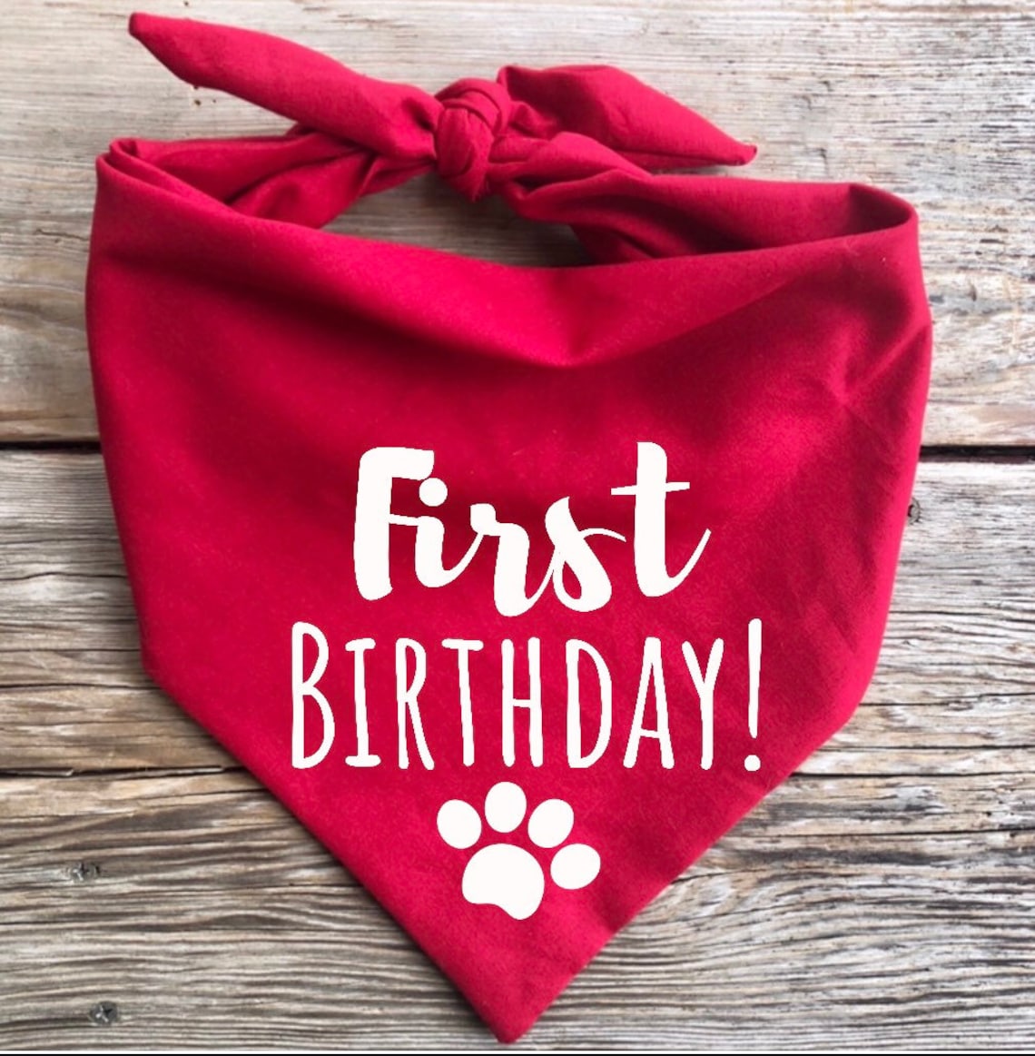 First Birthday Dog bandana Birthday Its my Birthday 1st Etsy