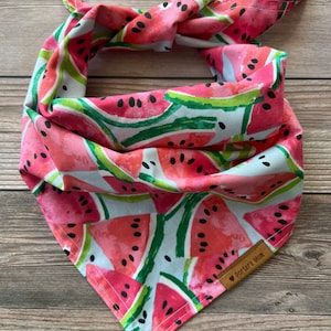 Dog Bandana - “Melon” - Watermelon - Summer - Handmade - Pet Accessories - Traditional Tie - Dog - Pink - Green