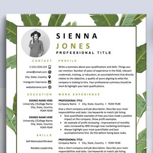 Creative Resume CV Template, Resume Template Design, Resume with Photo Picture, Resume for Teaching, Designer, Retail Sales, Lebenslauf