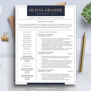 Executive Resume Templates for Word, Pages, Google Docs: Office Resume, Modern Resume, Marketing, Accounting, CEO, Senior, Administrative