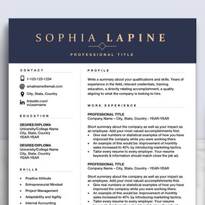 Executive Resume Template Design for Google Docs, Word, Pages | Editable Resume Office Admin, Marketing, Professional Resume Cover Letter