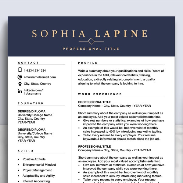 Professional Resume Template Design for Google Docs, Word, Pages | Editable Resume Office Admin, Marketing, Executive Format, Cover Letter