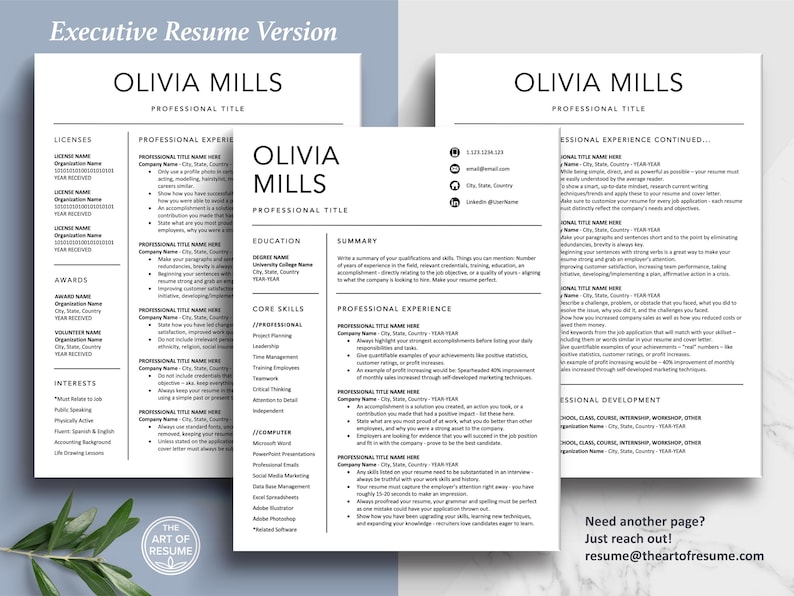 The Art of Resume Templates | Three-Page Executive C-Suite level Professional Simple Resume CV Template Format | Curriculum Vitae
