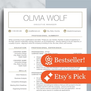 Resume CV Templates for Google Docs, Word, Apple Pages | 1 2 3 Page Professional Resume Designs, Cover Letter, Modern CV Curriculum Vitae