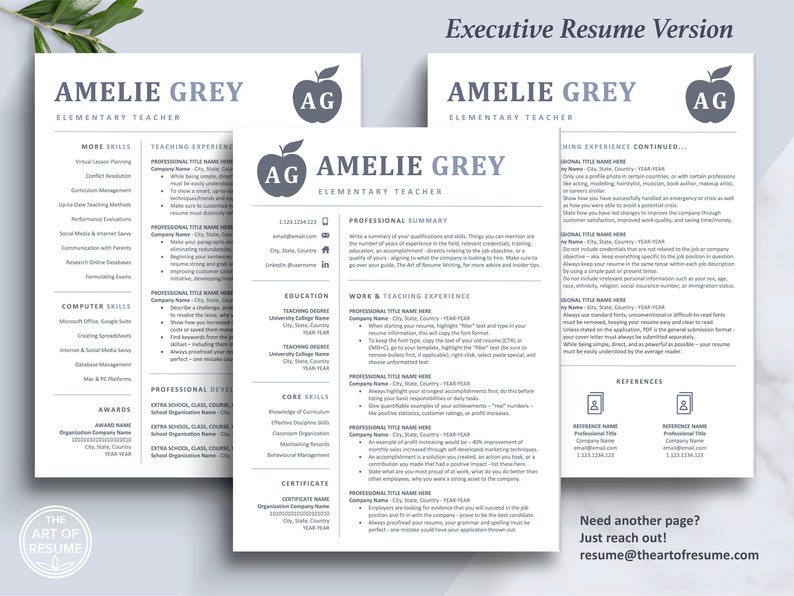The Art of Resume Templates | Three-Page Teacher Blue Grey Executive CEO C-Suite Level  Resume CV Template Format | Curriculum Vitae