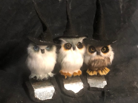 Witchy Baby Shoulder Owl - Etsy