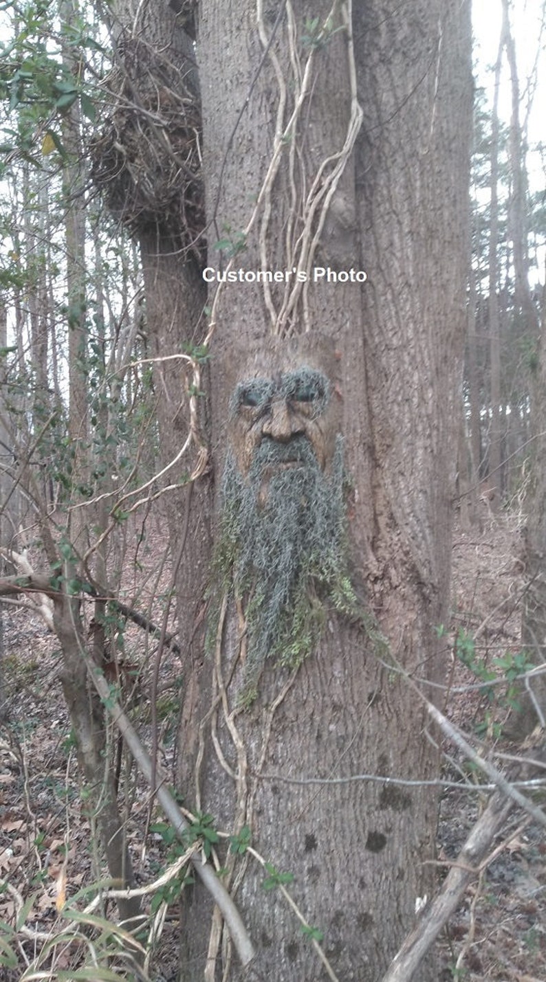 Tree Man Face - Etsy