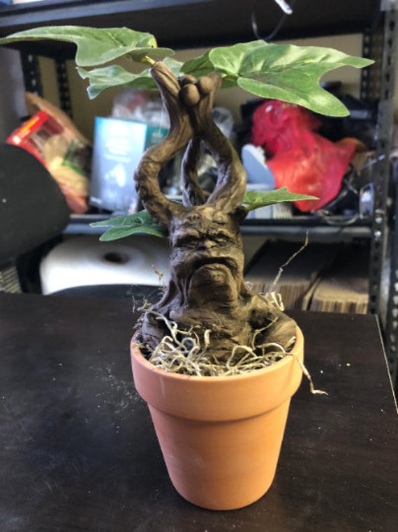 Free Shipping Magical Mandrake - Etsy Canada