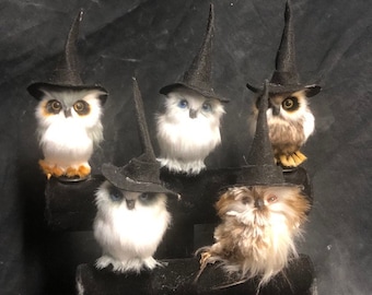 Witchy Baby Shoulder Owl