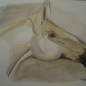 Caballo Acuarela - Cabeza - Mueca - Flemming