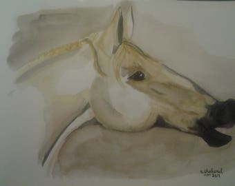 Op de afbeelding: Waterverf schilderij van een lichtbruin paardenhoofd en -hals. Het paard kijkt naar rechts en zijn mond staat lichtjes open. De achtergrond is lichtbruin.