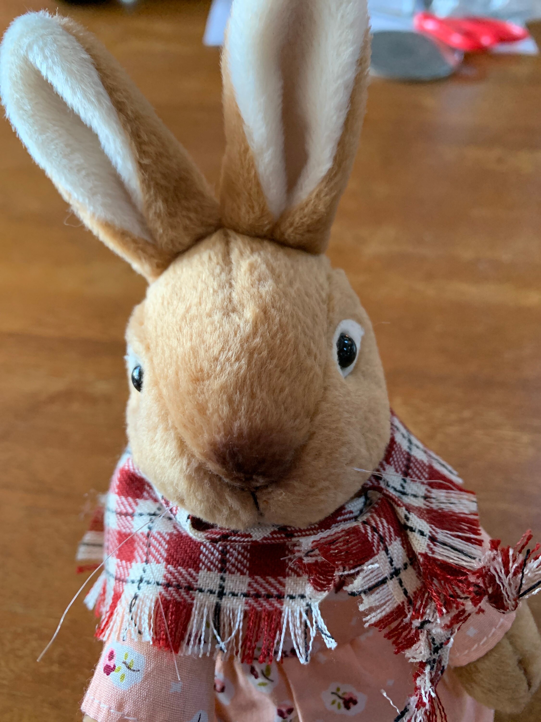 cvs peter rabbit stuffed animal