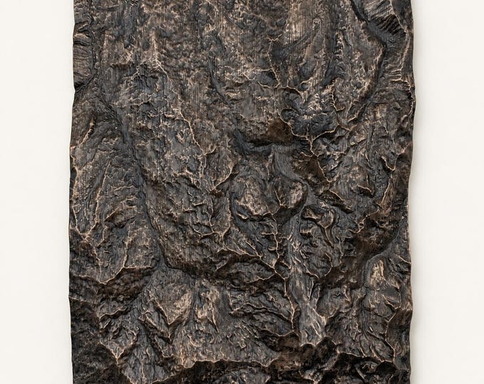 Metal Finish Custom 3D Map – Any Location Worldwide | Large Rectangular Topographical Terrain Map (35cm x 25cm)
