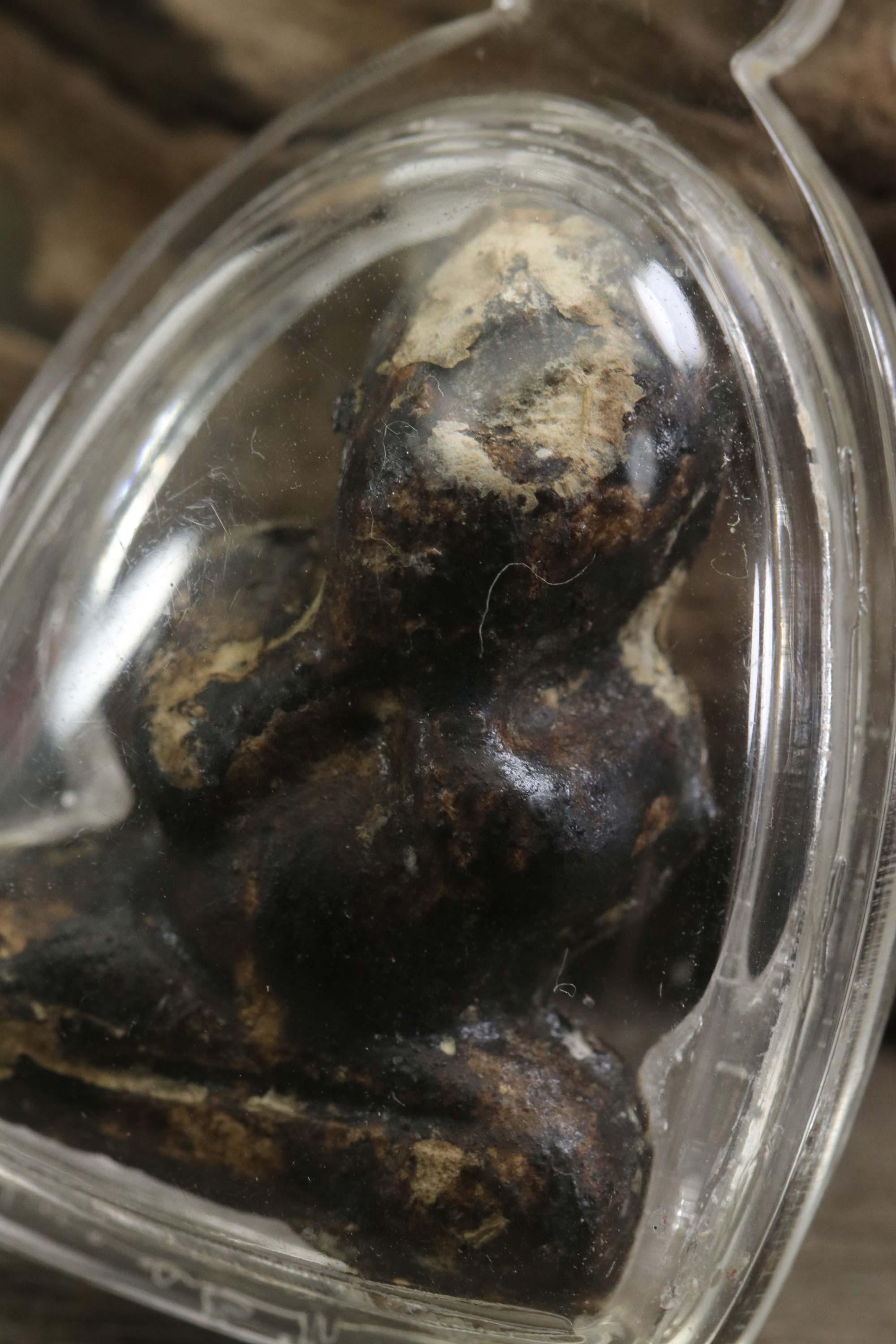 ルアンプー・イアム・プラ・ピッタ・アミュレット：ワット・サパンスン