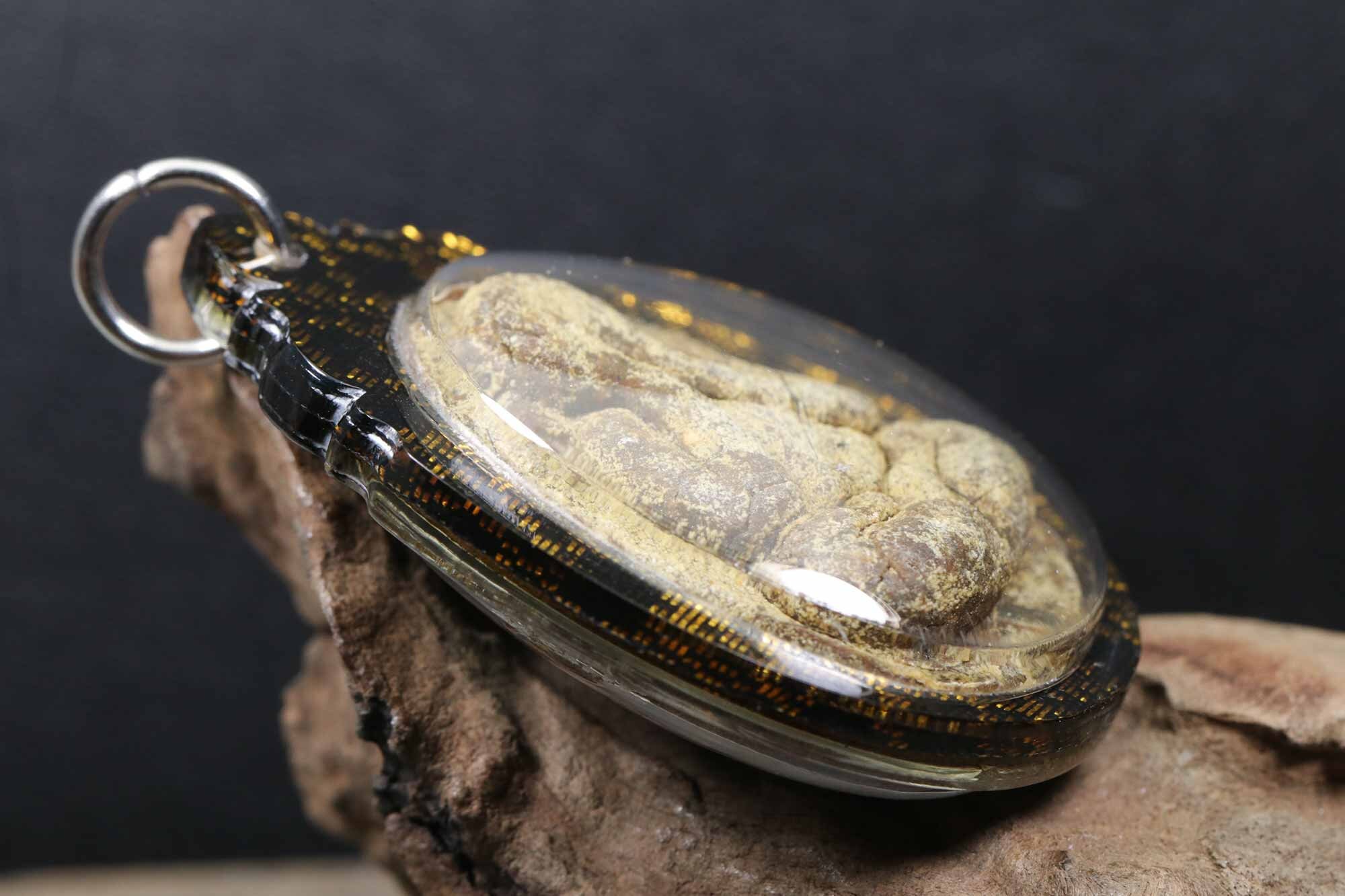 珍しいプラ ピタ ジャンボ タイのお守り: ルアン プー トク、ワット