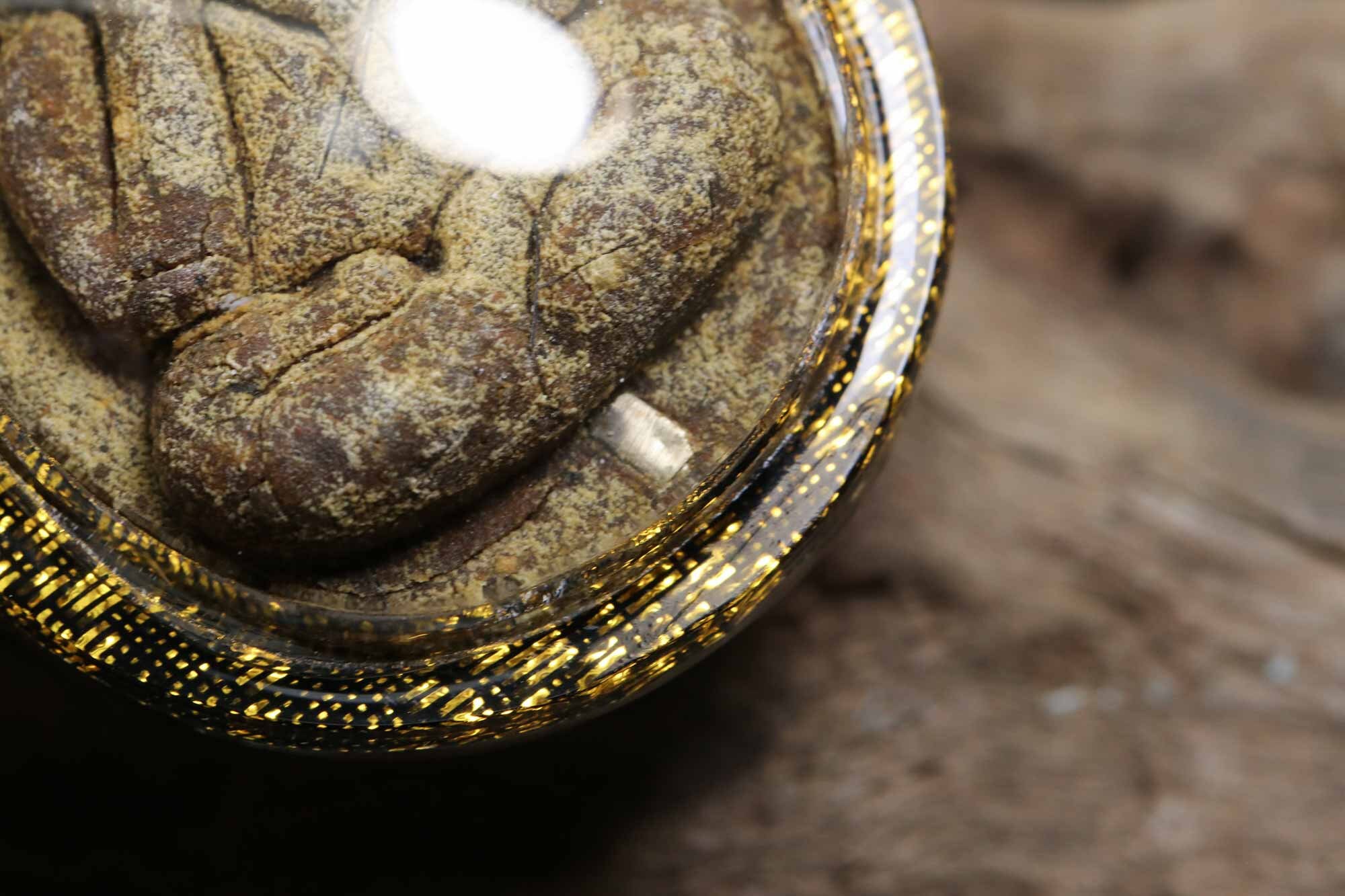 珍しいプラ ピタ ジャンボ タイのお守り: ルアン プー トク、ワット