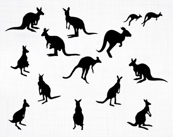 Download Kangaroo Svg Etsy