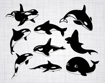 Download Orca Svg Etsy