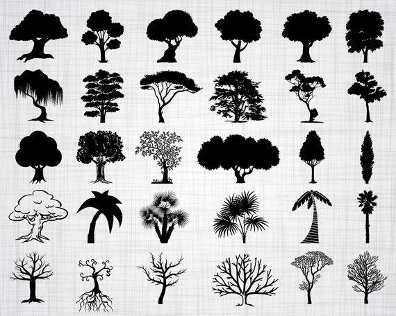 Download Tree Svg Bundle Svg Tree Clipart Tree Cut Files For Etsy