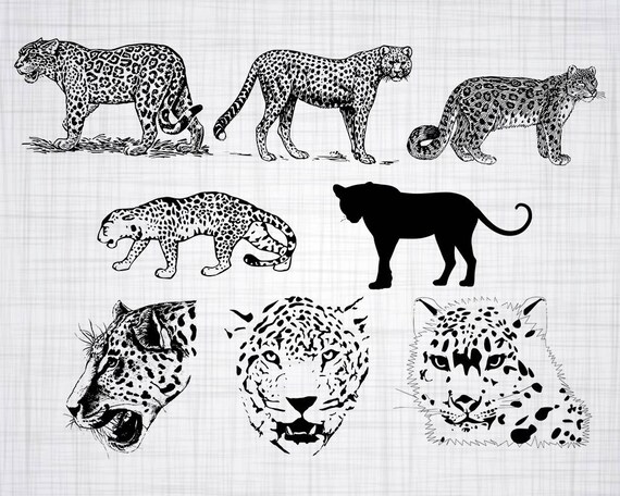 Leopard Svg Bundle Leopard Svg Leopard Clipart Schneiden Etsy
